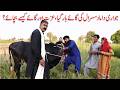 punjabi comedy, Dholan, Jugnu, lali, neli, sheman, haidar shah, totyshah, nora bhti, sqj