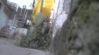 Vigilando La Casa