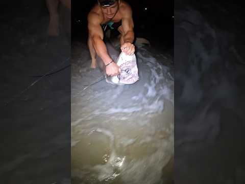 Taking the hook out by hand‼️ #shark #crazy #scary #shorts #viral #trending #fisherman #fishing