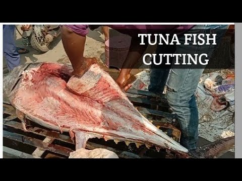 # Bigట్యూనాfish #Tunafishcutting