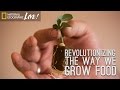 Innovative Solutions to the Global Food Crisis