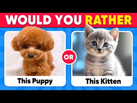 Would You Rather...? 🐶 ANIMALS Edition 🐸🐼 Quiz Kingdom