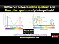 Photosynthesis and Light Absorption Concepts