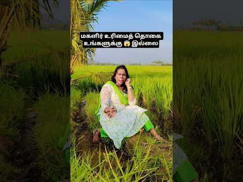 மகளிர் உரிமைத்தொகை யாருக்கெல்லாம் கிடையாது! #motivation #trending #politics #awerness #tamil #shorts