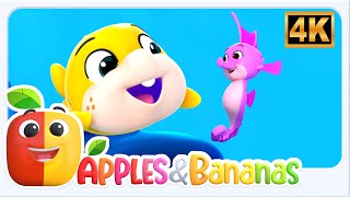 Deep Blue Sea, Apples and Banana Learning Video & Stories for Kids