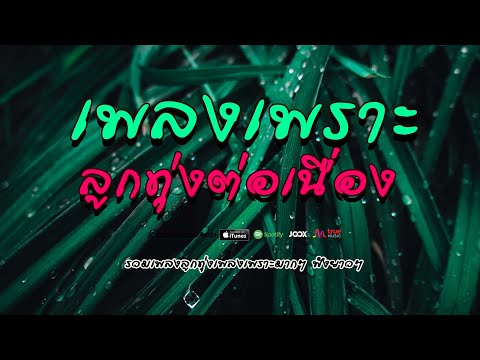 เพลงเพราะ ลูกทุ่งต่อเนื่อง  #รวมเพลงลูกทุ่งฟังเพราะ