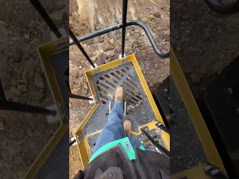 Boot Brush With a View