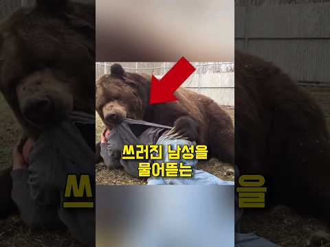 불곰에게 붙잡힌 남성의 최후