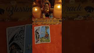 Live highlight🌻Full moon guidance 🌕 watch full Live Session🔮#blessingsoforacle #livestream #fullmoon