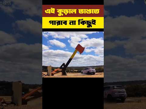 এই আড়াল ভাঙতে পারবে না কিছুই || #shortsvideo #shorts