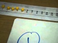 Counting Coins and Value Understanding