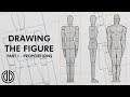 Proportions in Human Figure Drawing