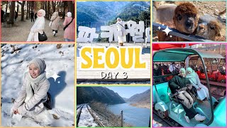 korea day 3 | alpaca world, rail bike, nami island, hongdae 🇰🇷🦙⛰️🛍️
