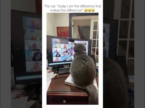 That man thought he ate asking that question