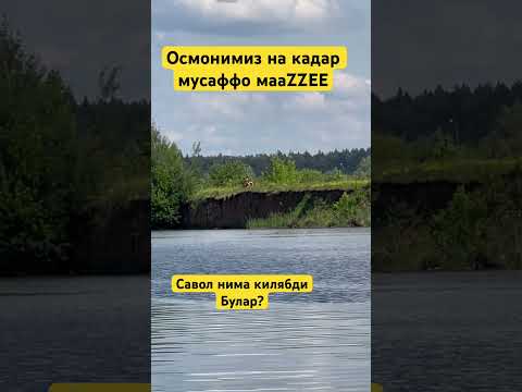 Савол нима килябди булар АЛИ КУШЧИНИНГ УЙИГА КАЙТИШИ ВА ИВАН ГРОЗНЫЙ УЗ ПРОФЕССИЯСИНИ УЗГАРТИРДИ