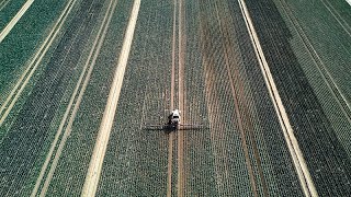 YouTube video thumbnail: EU to Turn Carbon Tax Revenues Into Farm Subsidies Amid Fertiliser Crisis, Leaked Document Shows
