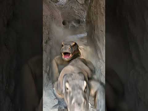 colourfull chicks jumping in crocodiles mouth to save there life from two comodo dragons