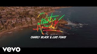 Charly Black, Luis Fonsi - Party Animal