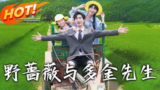 《野薔薇與多金先生》第1~63集【高清完结合集】丨#盛世短剧 #短剧 #古装 #逆袭 #搞笑 #系统 #修仙 #爱情 #甜宠 #drama #穿越 #重生 #短劇