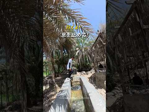 息をのむ "水中トンネル" を奥まで潜る!Osmo Action 5 Proで捉えた究極のスリル🌊