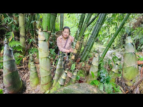 Animal Care and Farm Cleaning - Harvesting Bamboo Shoots to Sell at Market.