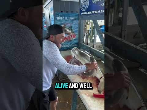INSANE! 😱 You WON’T BELIEVE your eyes! This moment was captured 5 years ago #Shorts #Viral #Fishing