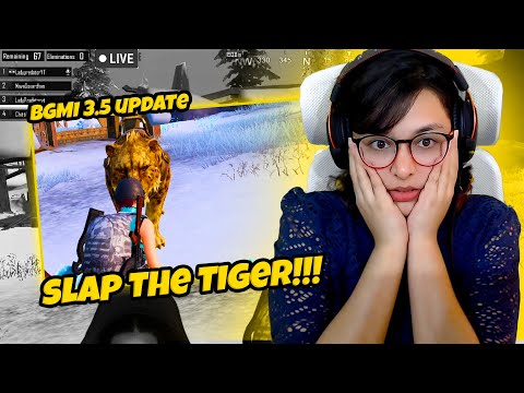 Crazy Update with Crazy Streamer | Solo vs Squad Funny PUBG Live Highlights