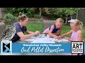 Owl Pellet Dissection Concepts