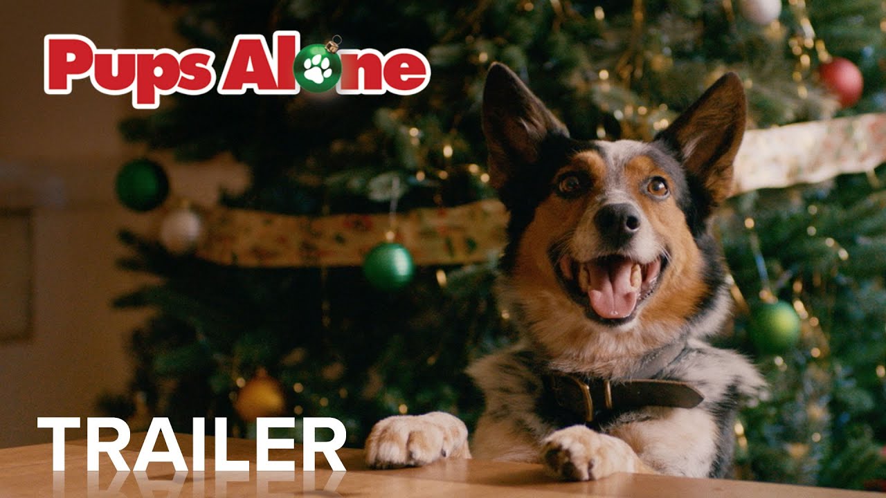 Pups Alone Trailer thumbnail