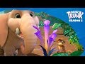 Video Sound Elements Analysis