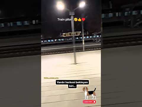 Sentiment dog🐕 viral #shorts #viralvideo #video #dog #animals #trending #subscribe #youtube