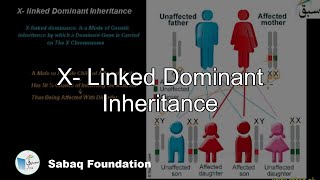 X- Linked Dominant Inheritance