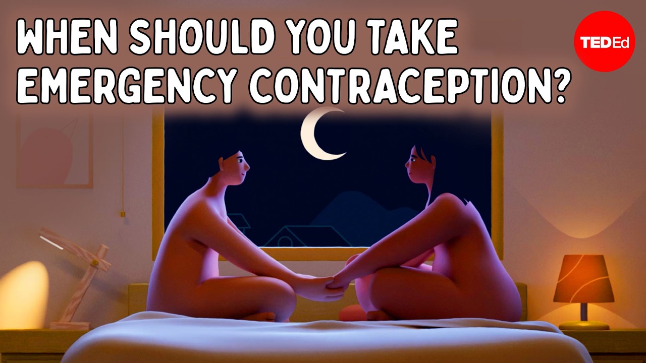 How does the morning-after pill prevent pregnancy - Alison Edelman