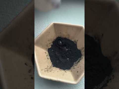 Wood burned to charcoal can create eyeliner? 🤯 upstate from NYC* #eyeliner