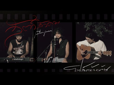 สัตว์สังคมเมืองแมน【โฟล์คข้างบ้าน】officialAcousticlive