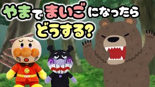 アンパンマン読み聞かせアニメ☆山はあぶないよ！ 迷子になったらどうする？？ 遭難 山の日 まいご はぐれる 虫とり キャンプ 熊 夏休み 山登り ハイキング 森 山遊び Anpanman toys