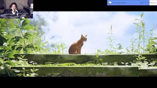 🔴 Zan PLAYS STRAY 🐈 pt.2 | Zanouji LIVE
