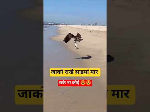 जाको राखे साईंया 😍 😍 #minivlog #youtubeshorts #vlog #tranding ##fypage #fypシ゚viral #fyp