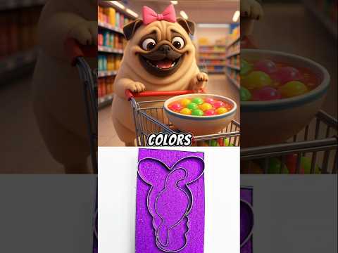 The Most Amazing Colorful Little Ball's!🐶😺🤩#pug #kitten #dog #cat #funny #humor #shorts #viral