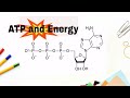 ATP Production and Cellular Respiration