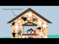 Animal Insulation and Heat Conservation