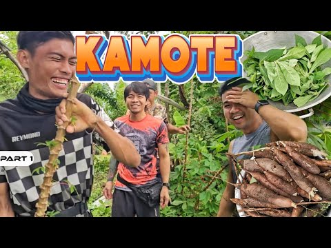 P1 - Nangamote ang Team Harabas - EP1936