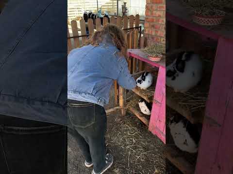 #garden #жизньзагородом #рецепты #огород #shorts #petrovchanka_lera #petrovchanka