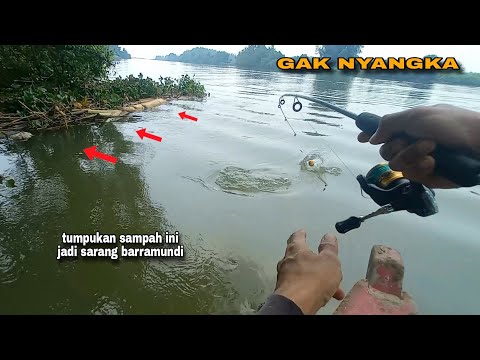 Nemu spot baru..!! Gak nyangka tumpukan sampah seperti ini jadi sarang Kakap putih