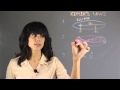 Kepler's Laws of Planetary Motion