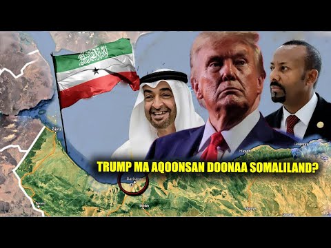 Xogta 5 Qodob Oo Madaxweyne Trump Ku Qasbaya Aqoonsiga Somaliland & 3 Dal Ee Ku Riixaya