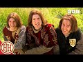 Exploring the Life of a Knight in the Middle Ages