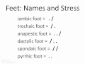 Understanding Poetic Feet and Meter