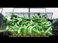 Understanding Supermarket Norms and Advocacy