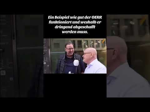 Was sagen Menschen zu AfD #örr #politics #news #propaganda